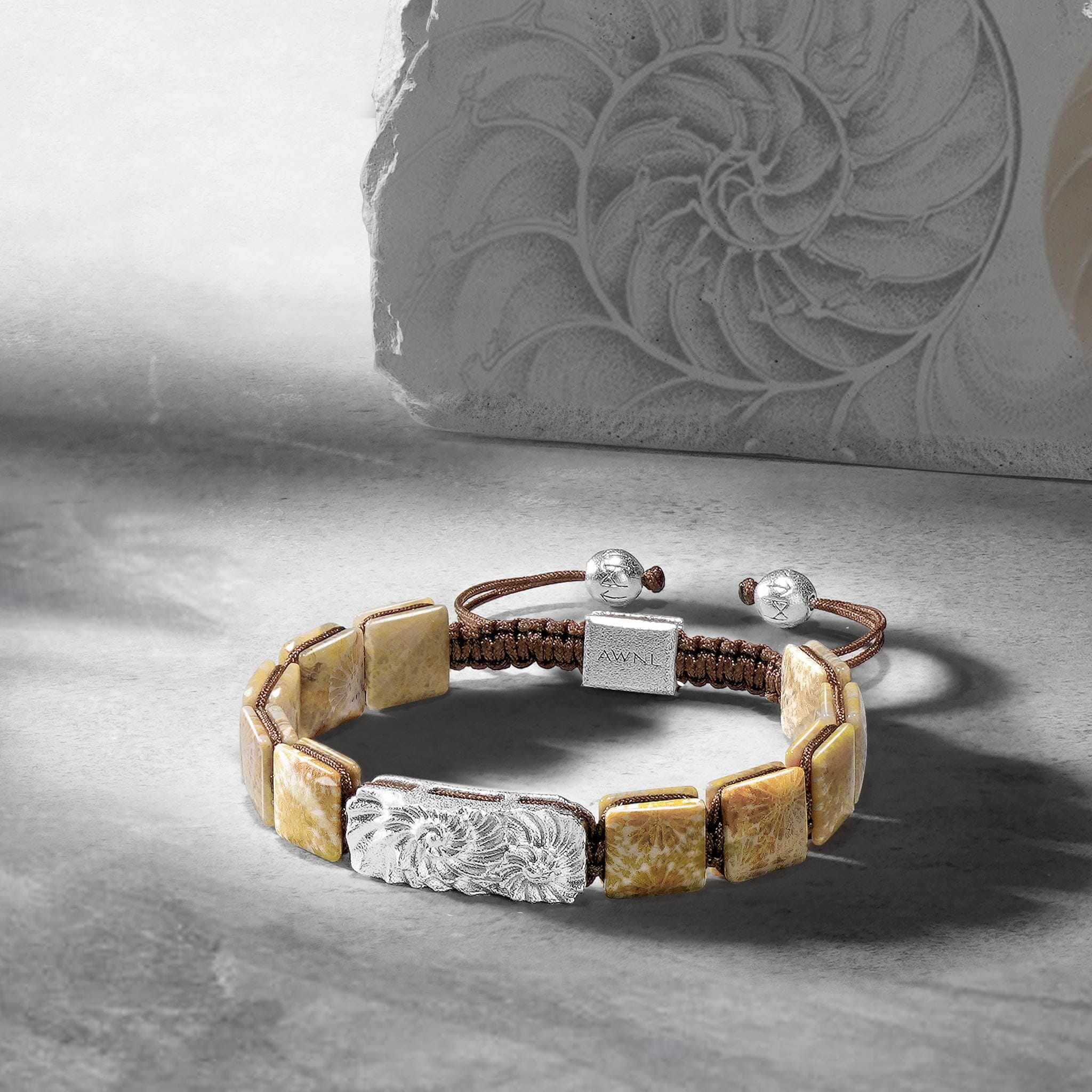 Ammonite Bracelet Agatized Coral